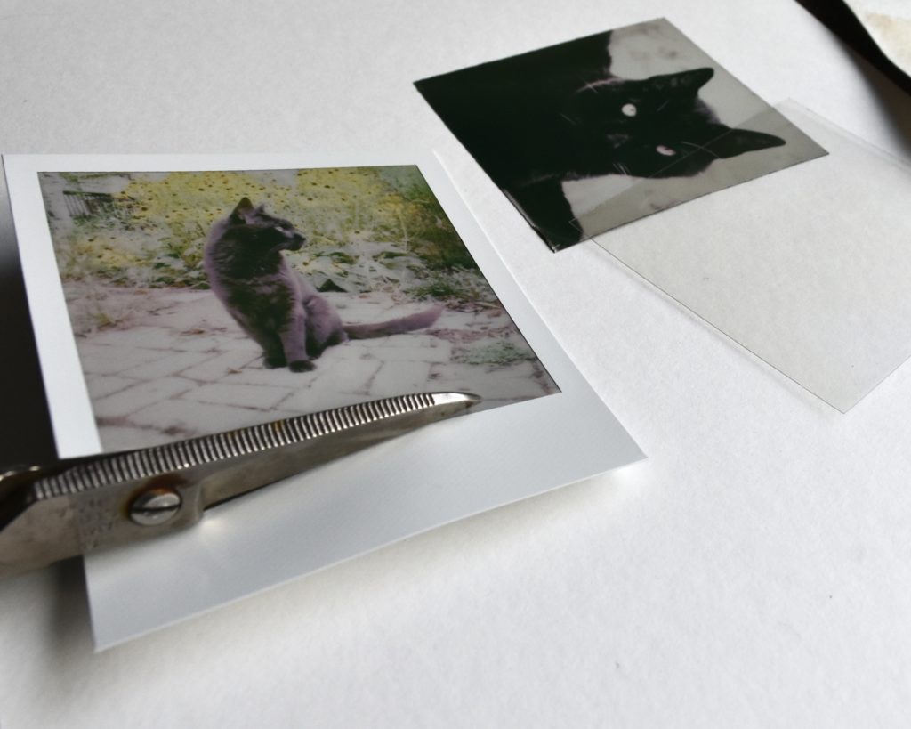 The Process of removing the polaroid emulsion from the plastic sheathing by Marquette Michigan visual artist Taryn Okesson.