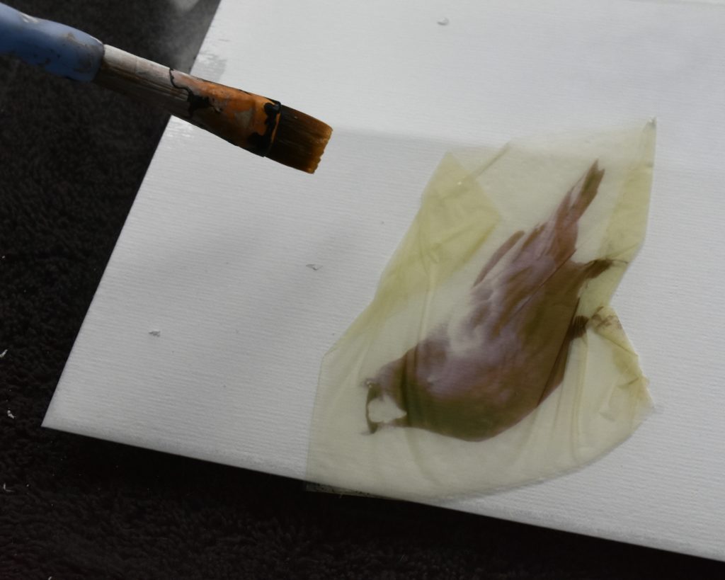 Using a soft paint brush to position the emulsion lift onto a new substrate. Image and work by Marquette Michigan visual artist Taryn Okesson