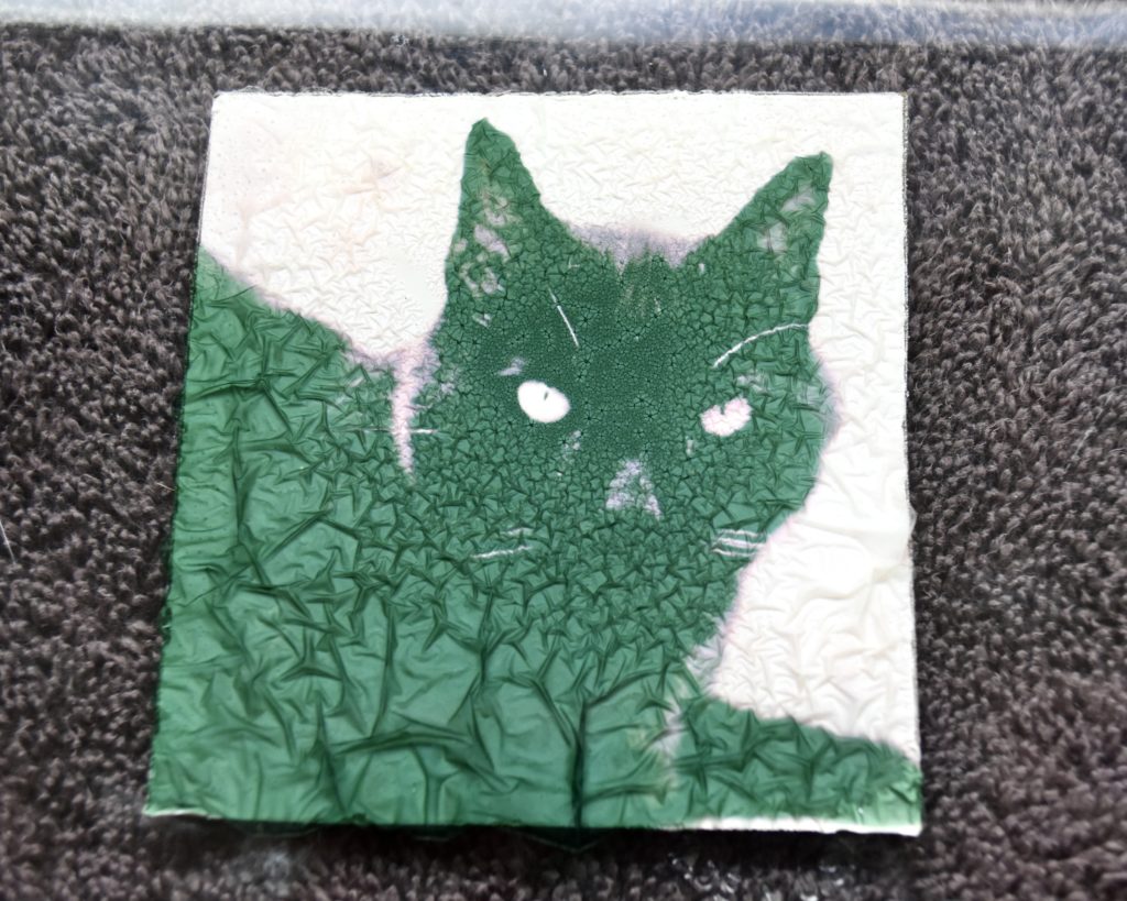 Floating a Polaroid Emulsion Lift in warm water, the lift begins to crumple as it leaves the surface by Michigan Artist Taryn Okesson.