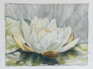 Mixed media acrylic, linen and ink painting of a white water lily by Marquette Michigan Midwest Artist Taryn Okesson