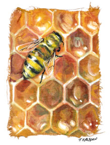 5 x 7 Mixed Media Honey Bee on comb by Marquette Michigan Artist Taryn Okesson. Honey Combs are Golden Amber in color.