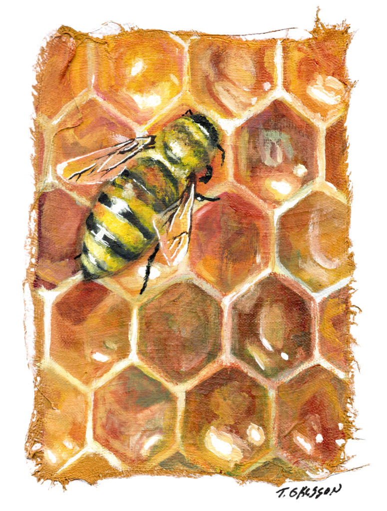 5 x 7 Mixed Media Honey Bee on comb by Marquette Michigan Artist Taryn Okesson. Honey Combs are Golden Amber in color. 