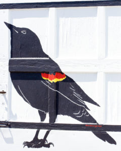 Detail close-up of the Red-Winged Blackbird detail from Artist Taryn Okesson's Mondrian Garage Mural on Third Street in Marquette, MI.