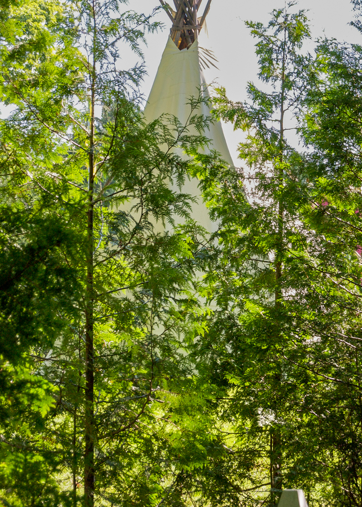 The top of a teepee spotted through trees on Mackinac Island by visual artist, Marquette artist, photographer, Taryn Okesson