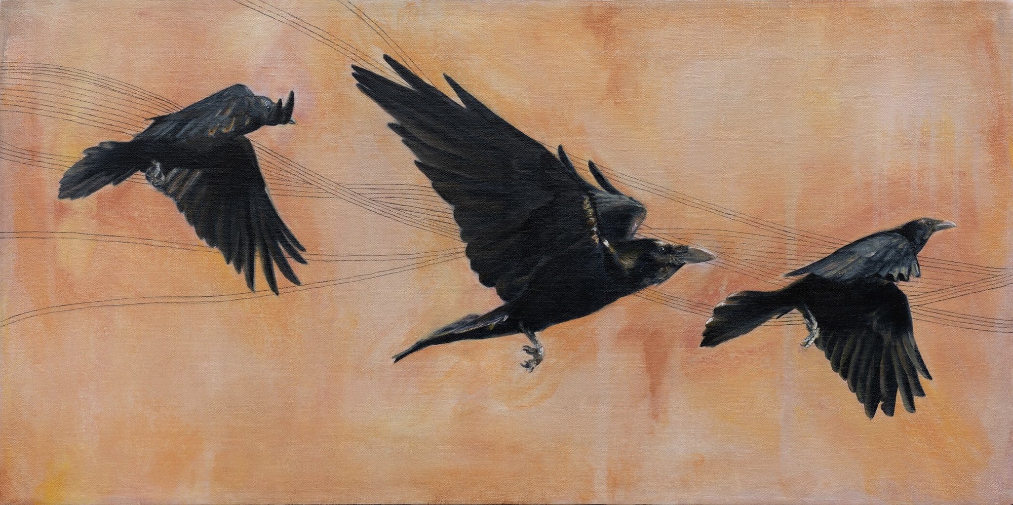 Acrylic and Ink painting of three ravens in flight inspired by a photograph taken on Navajo Lands. Painting by Marquette Michigan Artist Taryn Okesson. 