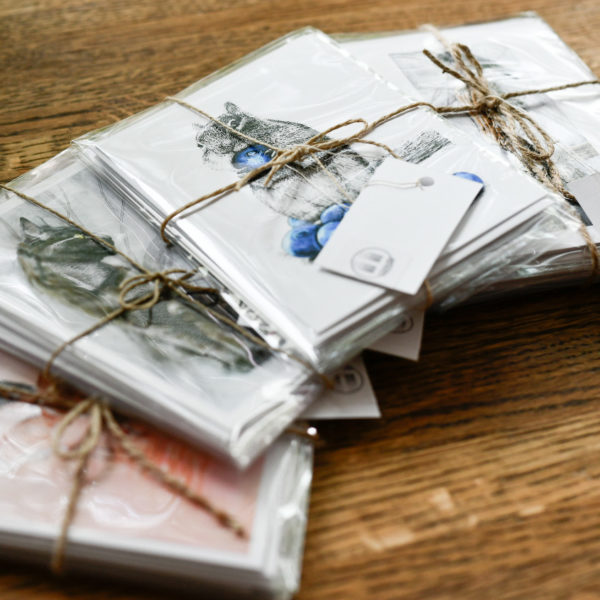 Notecards