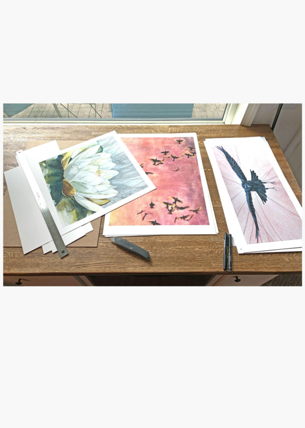 Water Lily: Special Edition Giclée - Image 2