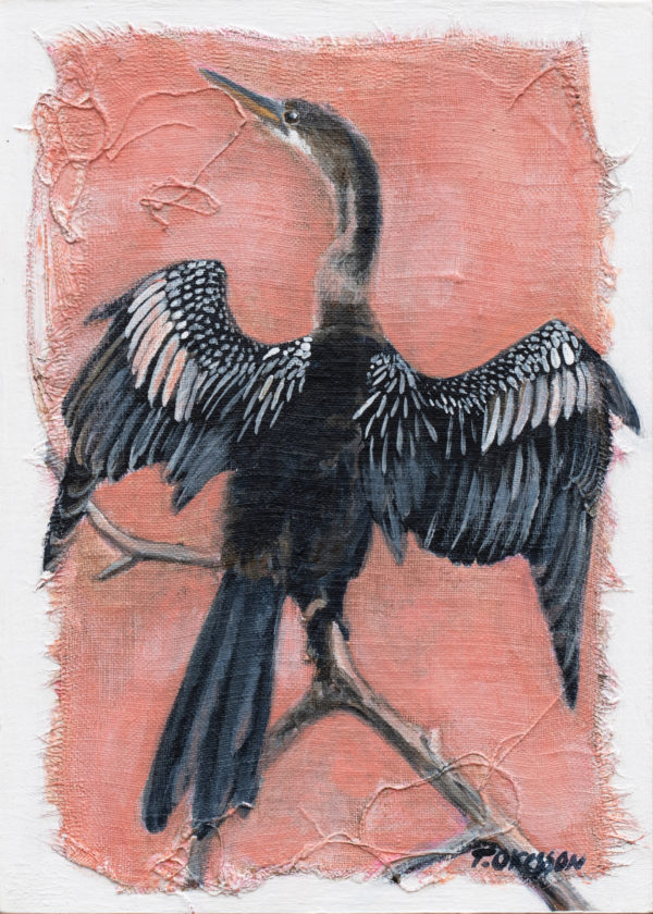 Anhinga Study: Original Painting