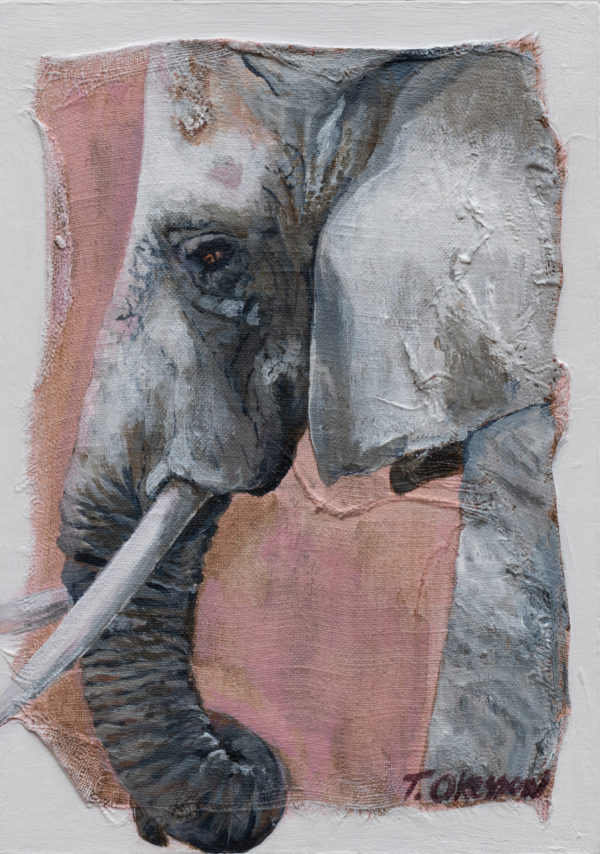 Elephant Study no. 1: Original Painting