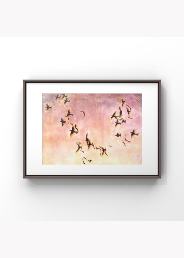 Murmuration no. 1: Special Edition Giclée - Image 4