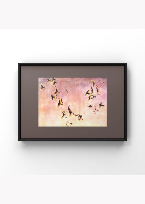 Murmuration no. 1: Special Edition Giclée - Image 3
