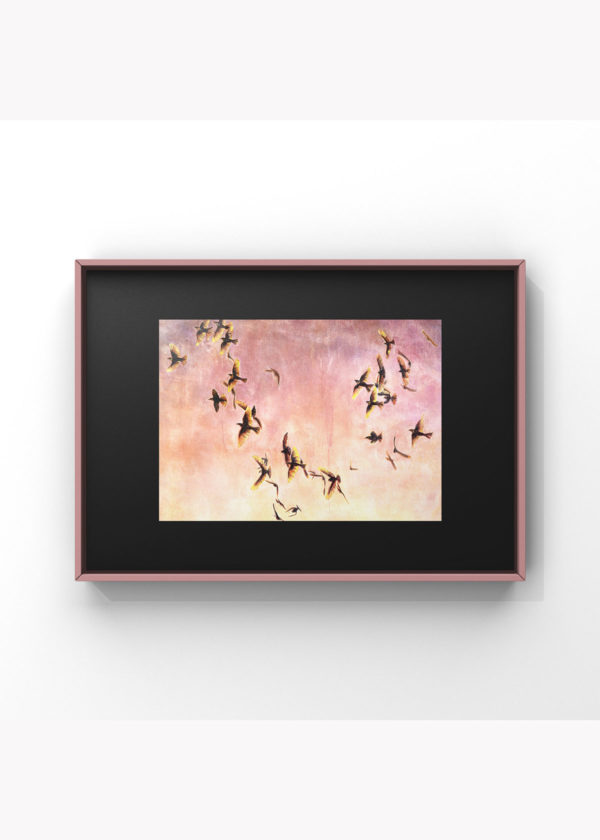 Murmuration no. 1: Limited Edition Giclée - Image 2