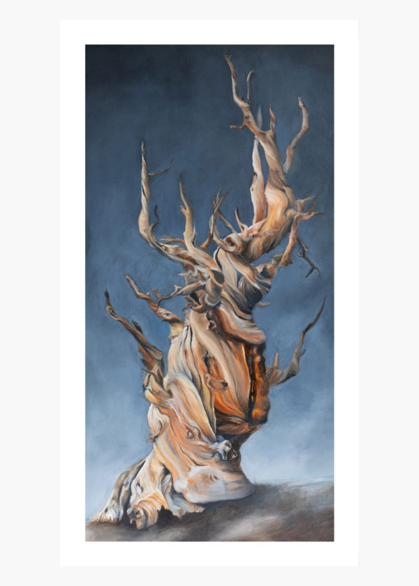 The Relic: Special Edition Giclée