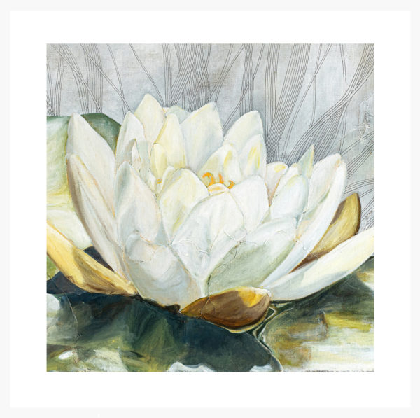 Water Lily: Special Edition Giclée