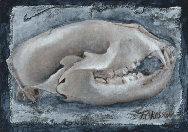 5x7 study of a bear skull in profile using a limited palette. Painting by Marquette Michigan Artist Taryn Okesson.