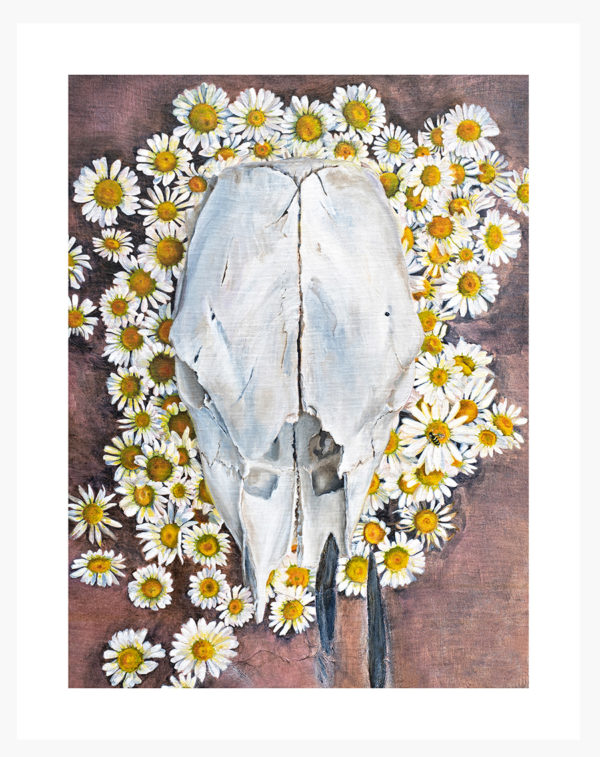 Calf Skull and Daisies: Limited Edition Giclée