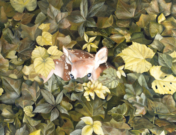 Fawn and Ivy: Limited Edition Giclée