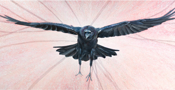Flight no. 3: Special Edition Giclée
