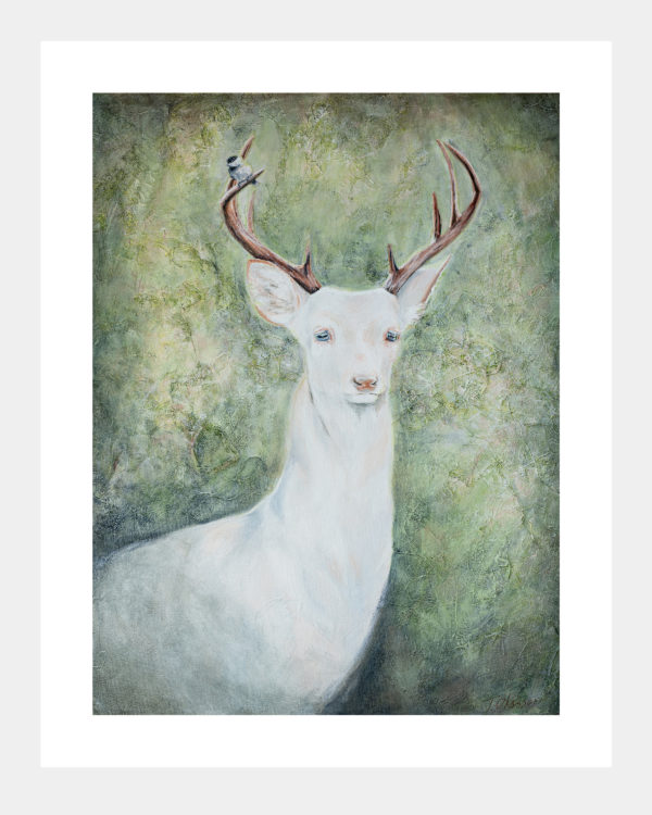 An Albino Memory: Limited Edition