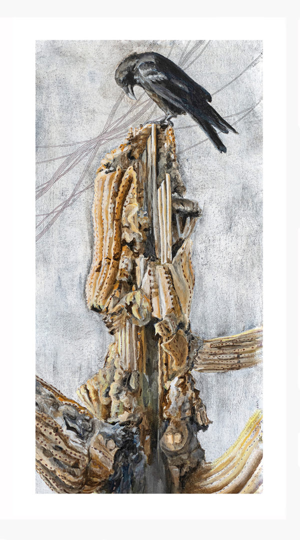 Sonoran Raven: Limited Edition Giclée