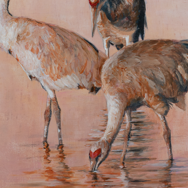 Thumbnail of Contemporary wildlife painting with three sandhill cranes wading in water, Sandhill Serenity by Marquette Michigan Artist Taryn Okesson