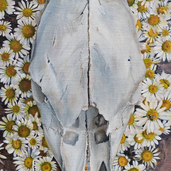 Thumbnail of Contemporary Still Life painting Calf Skull and Daisies by Marquette Michigan Artist Taryn Okesson