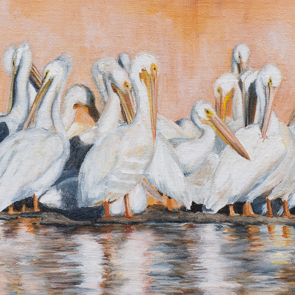 Thumbnail of Elephant Butte Briefing Painting by Marquette Michigan Artist Taryn Okesson. Contemporary Wildlife Painting of a gathering of white pelicans on a dirt patch.