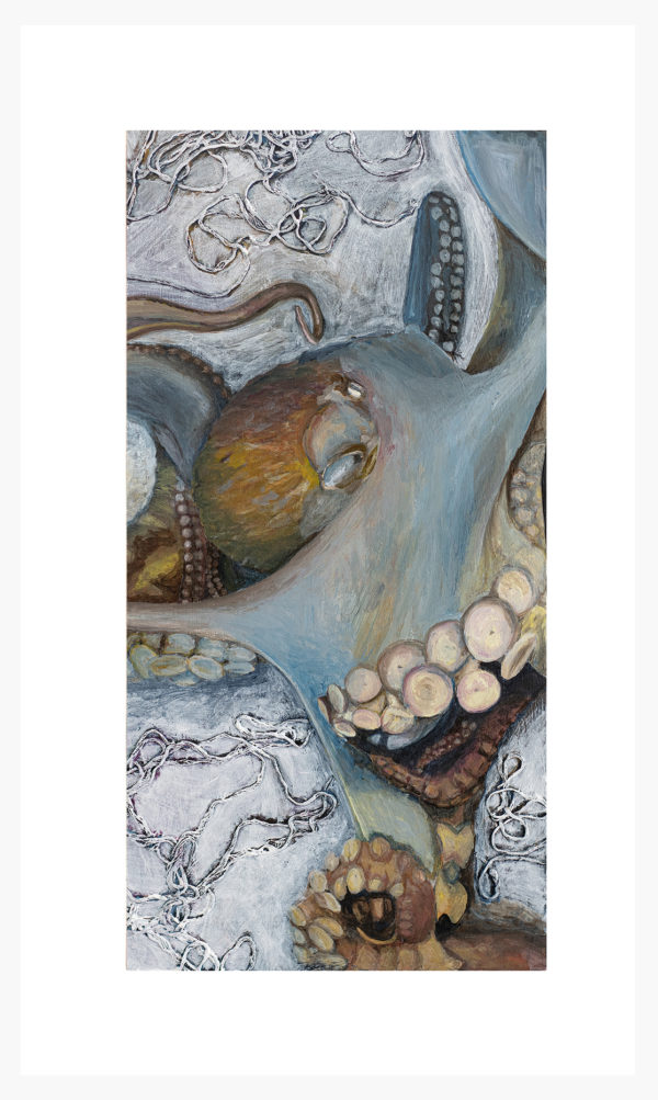 Octopus: Limited Edition