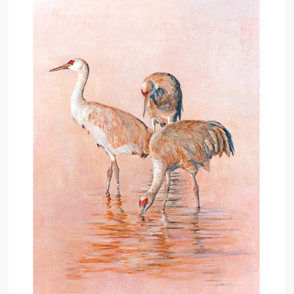 Sandhill Serenity: Limited Edition Giclée