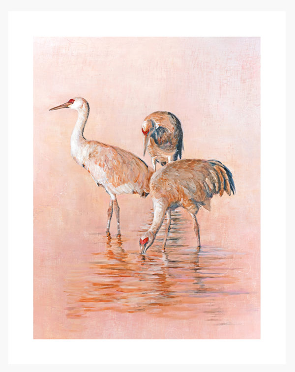 Sandhill Serenity: Special Edition Giclée