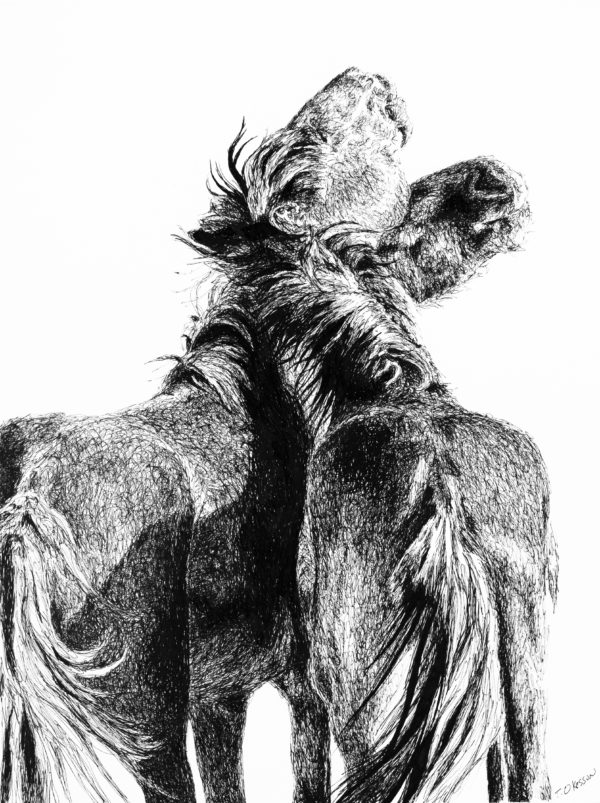 Wild Horse Ink Study no. 4