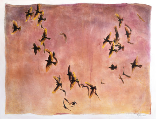 A large colorful painting in yellows, oranges and pinks of a Murmuration of yellow-headed blackbirds. Created by artist Taryn Okesson of Marquette Michigan