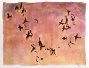 Mixed media painting of Yellow headed blackbirds. They are caught in a murmuration, the colors used are sunset colors yellows, pinks, violets. by Michigan artist Taryn Okesson.