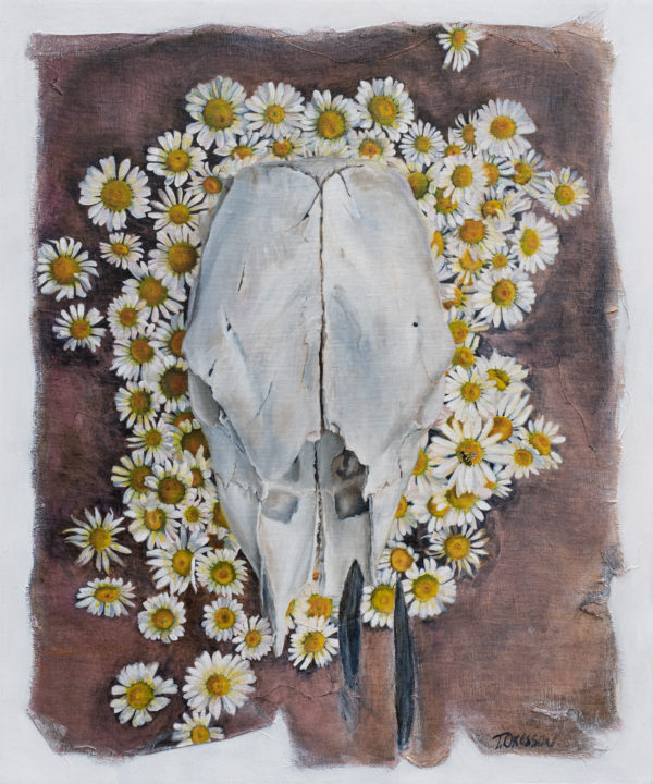 Calf Skull and Daisies: Original
