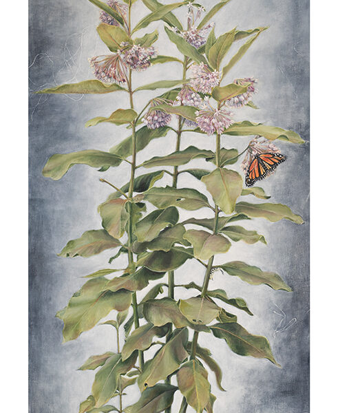 Noxious Weed 10 x 20 Reproduction