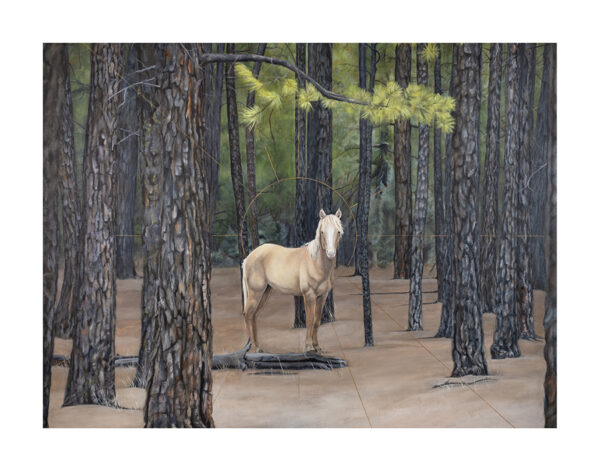 I Met a Wild Horse in the Forest 9x12