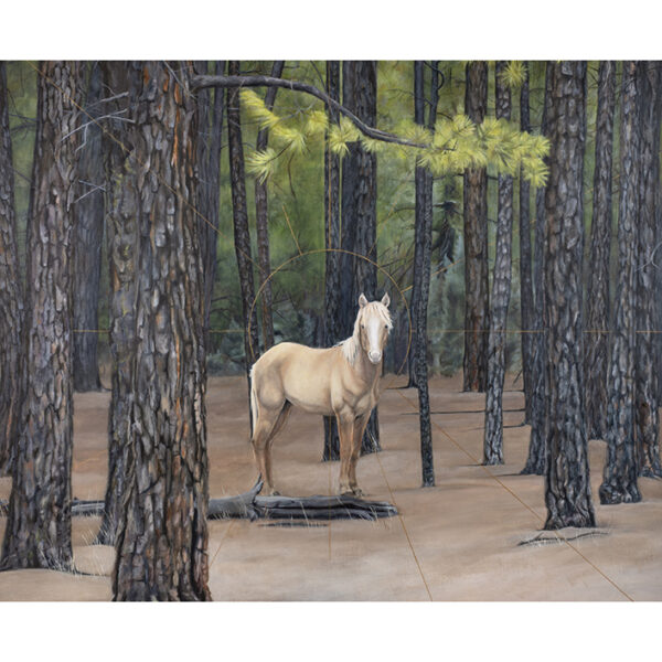 I Met a Wild Horse in the Forest 15 x 20